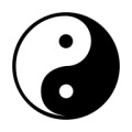 TaiChi icon