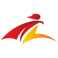 飞扬体育 icon